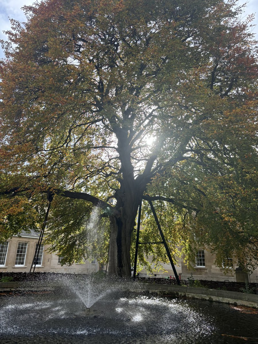 charlie harber tweet media