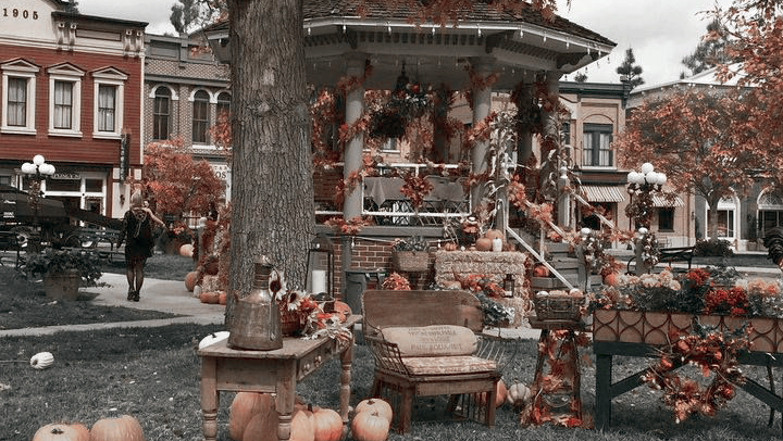 SILVER CREEK. tweet media