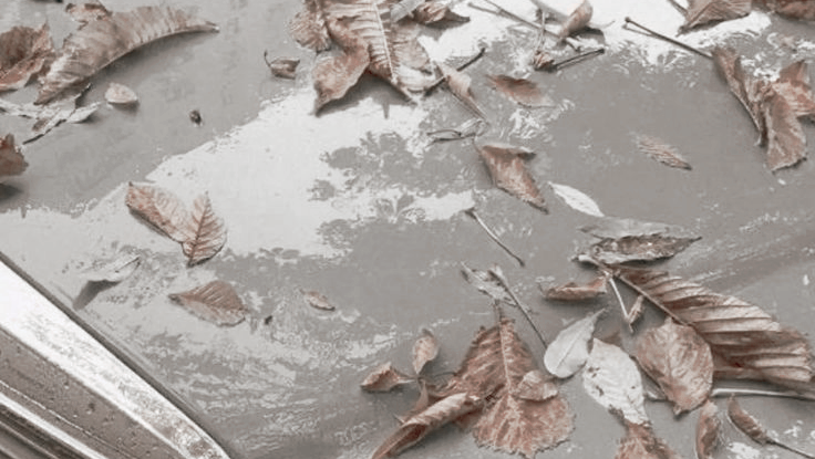 SILVER CREEK. tweet media