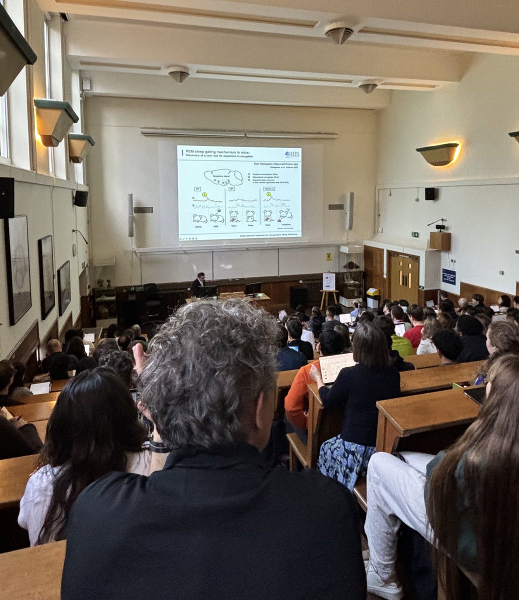 Armin Lak (@arminlak) on Twitter photo Beautiful lecture by Masashi Yanagisawa on fundamental brain mechanisms of sleep, including dopamine - orexin interactions underlying sleep. <a href="/OxfordDPAG/">Department of Physiology Anatomy & Genetics (DPAG)</a> Beautiful lecture by Masashi Yanagisawa on fundamental brain mechanisms of sleep, including dopamine - orexin interactions underlying sleep. <a href="/OxfordDPAG/">Department of Physiology Anatomy & Genetics (DPAG)</a>