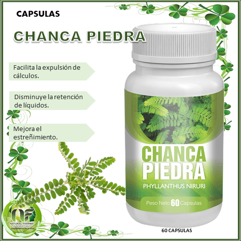 naturalfharma's tweet photo. 🌿 Descubre el Poder de la Chancapiedra en Cápsulas 🌿
¿Sabías que la Chancapiedra es conocida por sus propiedades diuréticas y hepatoprotectoras?
#Chancapiedra #SaludNatural #Bienestar #Suplementos #VidaSaludable #Fitoterapia https://t.co/sHmAAZeJZF