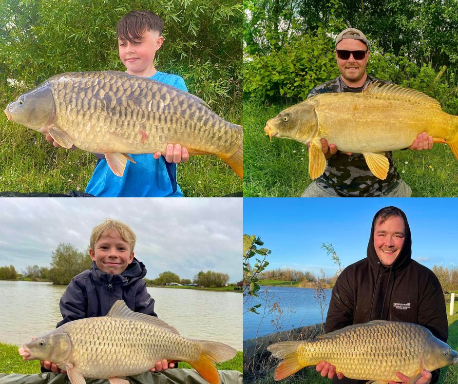 campingbugs's tweet photo. Hooked on angling? Dive into the details and find out more here 🎣💦 https://t.co/A8ccIQS2Nt https://t.co/EwJgFyMhLN