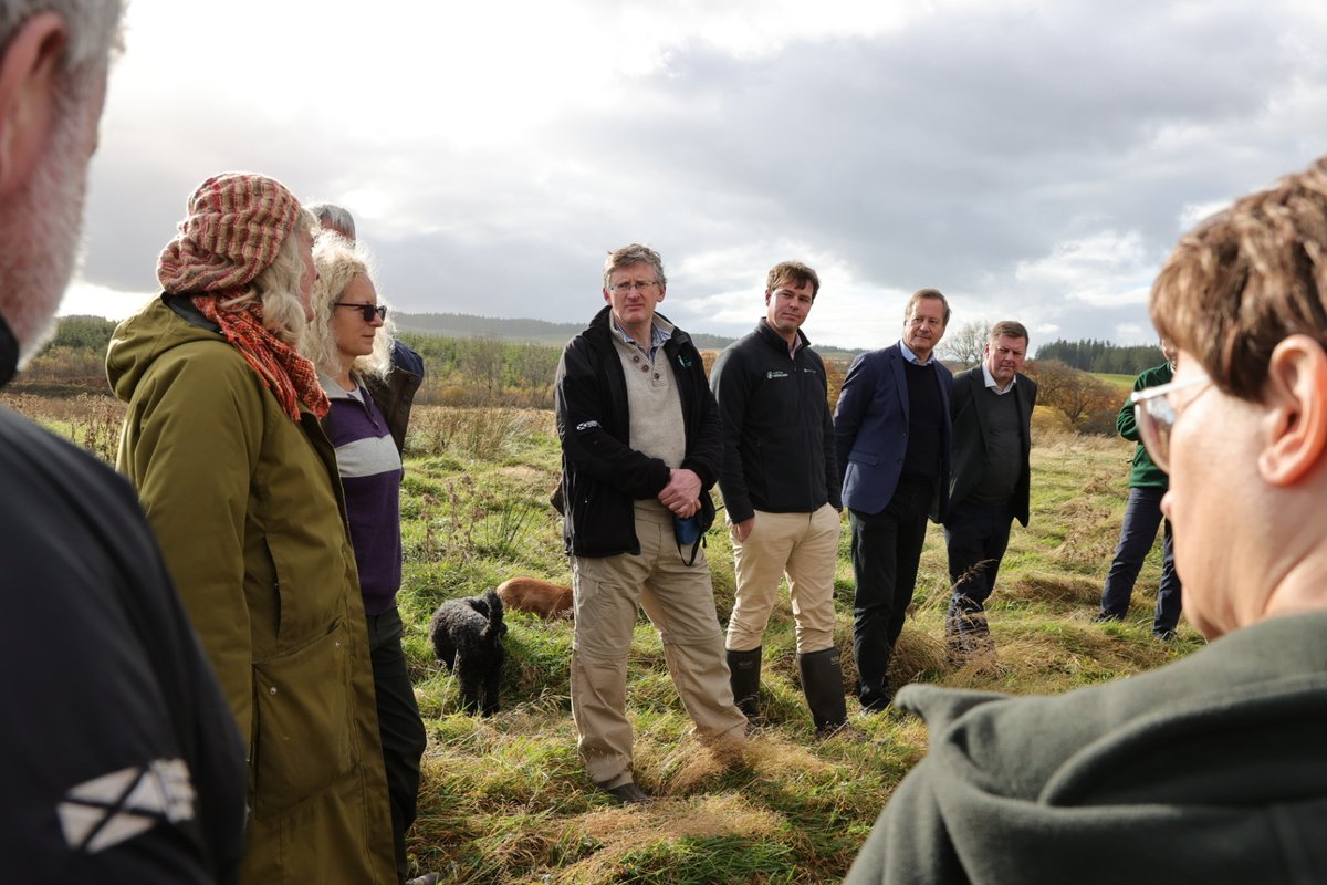 D&G Woodlands tweet media