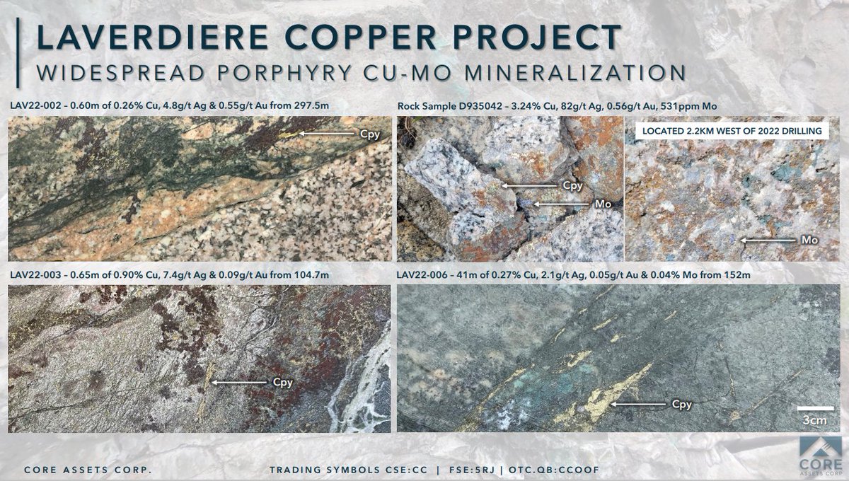 PROJECT HIGHLIGHT! Drilling and prospecting efforts at the Laverdiere Copper Project in 2022 intersected the eastern edge of an extensive and potassically altered, Cretaceous copper (Cu/Cpy)-molybdenum (Mo) porphyry.

The Laverdiere Porphyry is mapped for almost 4km along a N-S
