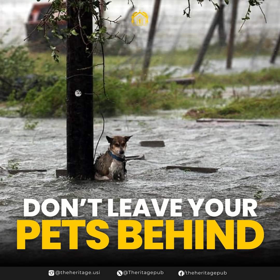 mainevibessss's tweet photo. Please lang po wag nyo pong iwanan mga pets nyo, or if impossible talaga na madala sila sa evacuation just unchain them and wag ikulong sa cage please 🙏🙏🙏🙏🙏🙏🙏

(ctto) 

#KristinePH https://t.co/p1KR7zi0Hb