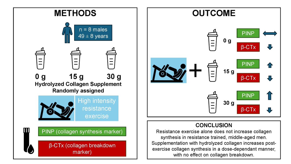 SETUCarlowScienceandhealth (@setu_cwscience) on Twitter photo New study in press by <a href="/SETU_CWScience/">SETUCarlowScienceandhealth</a> lecturer <a href="/ChrisNulty22/">Christopher Nulty, PhD</a>, and <a href="/RMErskine/">Rob Erskine, PhD</a>, <a href="/LJMUSportSci/">LJMU Sport Science</a>, , and <a href="/TheISEH/">The ISEH 🏃🏽♀️🏃♀️</a>: Hydrolyzed collagen (HC) before resistance exercise (RE) boosts collagen synthesis in middle-aged, resistance-trained men. New study in press by <a href="/SETU_CWScience/">SETUCarlowScienceandhealth</a> lecturer <a href="/ChrisNulty22/">Christopher Nulty, PhD</a>, and <a href="/RMErskine/">Rob Erskine, PhD</a>, <a href="/LJMUSportSci/">LJMU Sport Science</a>, , and <a href="/TheISEH/">The ISEH 🏃🏽♀️🏃♀️</a>: Hydrolyzed collagen (HC) before resistance exercise (RE) boosts collagen synthesis in middle-aged, resistance-trained men.
