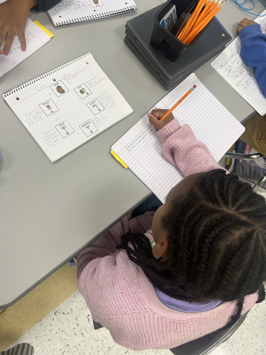 🌱✨ Watch our 3rd graders bring the life cycle of plants to life! They created amazing models and shared their writing about how seeds grow into beautiful plants. 🌼💚 <a href="/PCS_STEM/">PCS_STEM</a> <a href="/PCS_AVID/">Jessica A</a> #STEM #WICOR