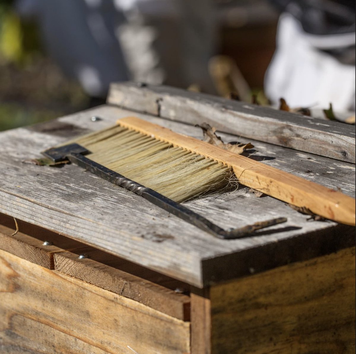 beebuiltsupply's tweet image. Hive checks made easy 🛠️🐝. Whether you’re just starting or a seasoned beekeeper, having the right tools makes all the difference. Head over to beebuilt.com and explore our collection. 

#BeekeepingTools #BeePrepared #ShopBeeBuilt #HiveEssentials #BuzzingAlong