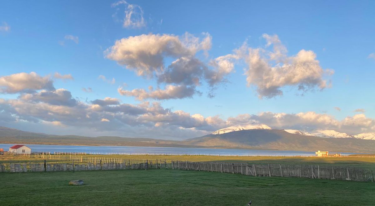 meteochile_dmc's tweet photo. #Clima | #Temperatura 🌡️
Hoy, Puerto Natales registró una temperatura mínima de 12.6°C, la 2ª más cálida desde 2003.
📊 Ranking histórico: 1️⃣ 13.1°C (18/10/22) 2️⃣ 12.6°C (22/10/24) 3️⃣ 11.8°C (30/10/08) 

📷 Ángeles Estevez / #Volunclima #CambioClimático #Datos https://t.co/hOoiiLY0D7