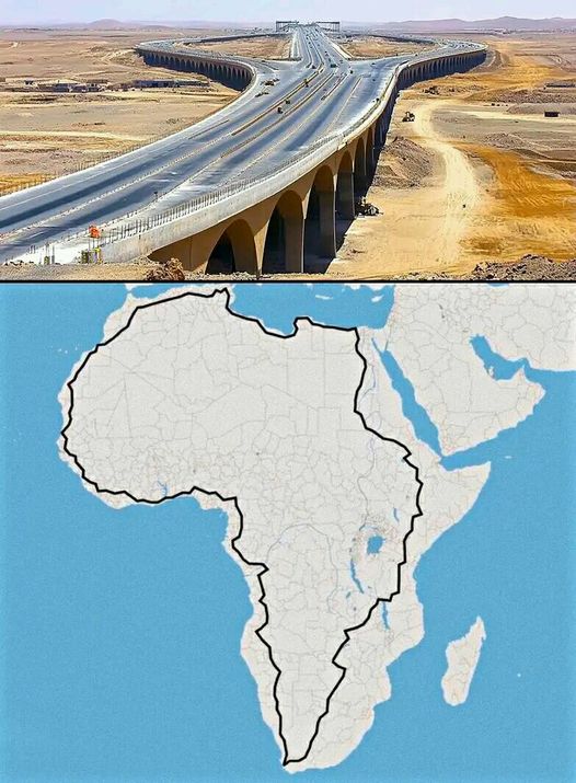 Africa Facts Zone tweet media