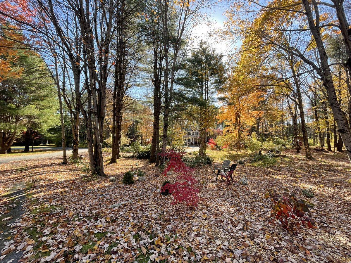 Absolutely SPECTACULAR late-October Day here in #Maine!