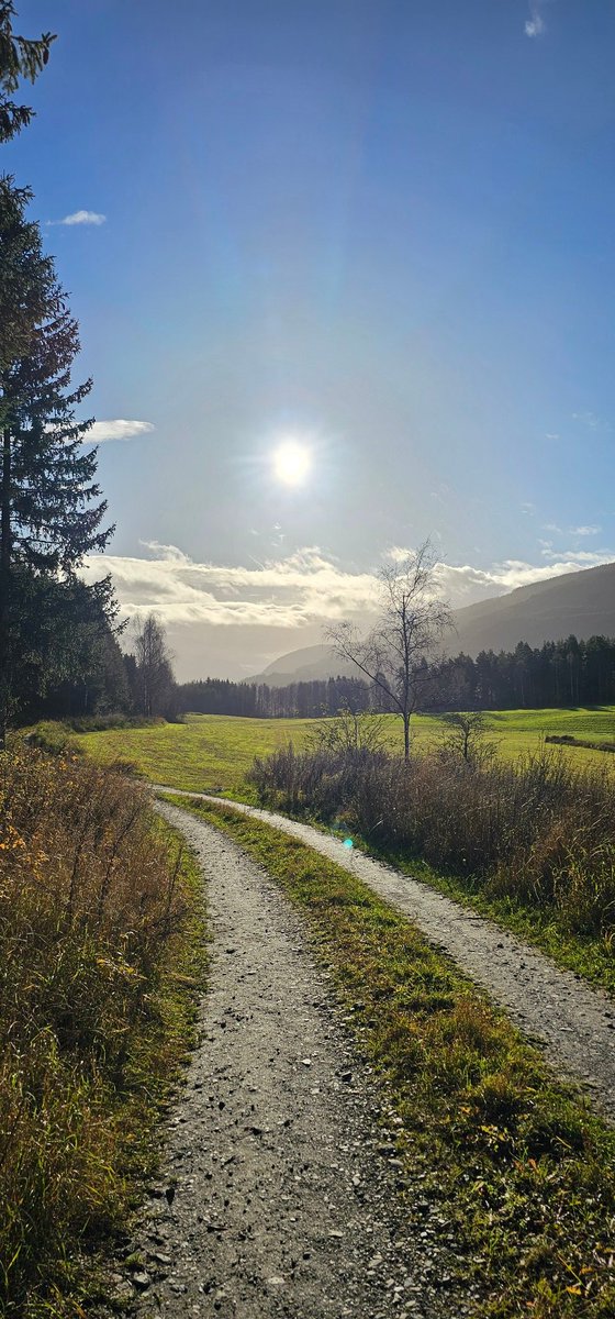 nathzilla's tweet image. 