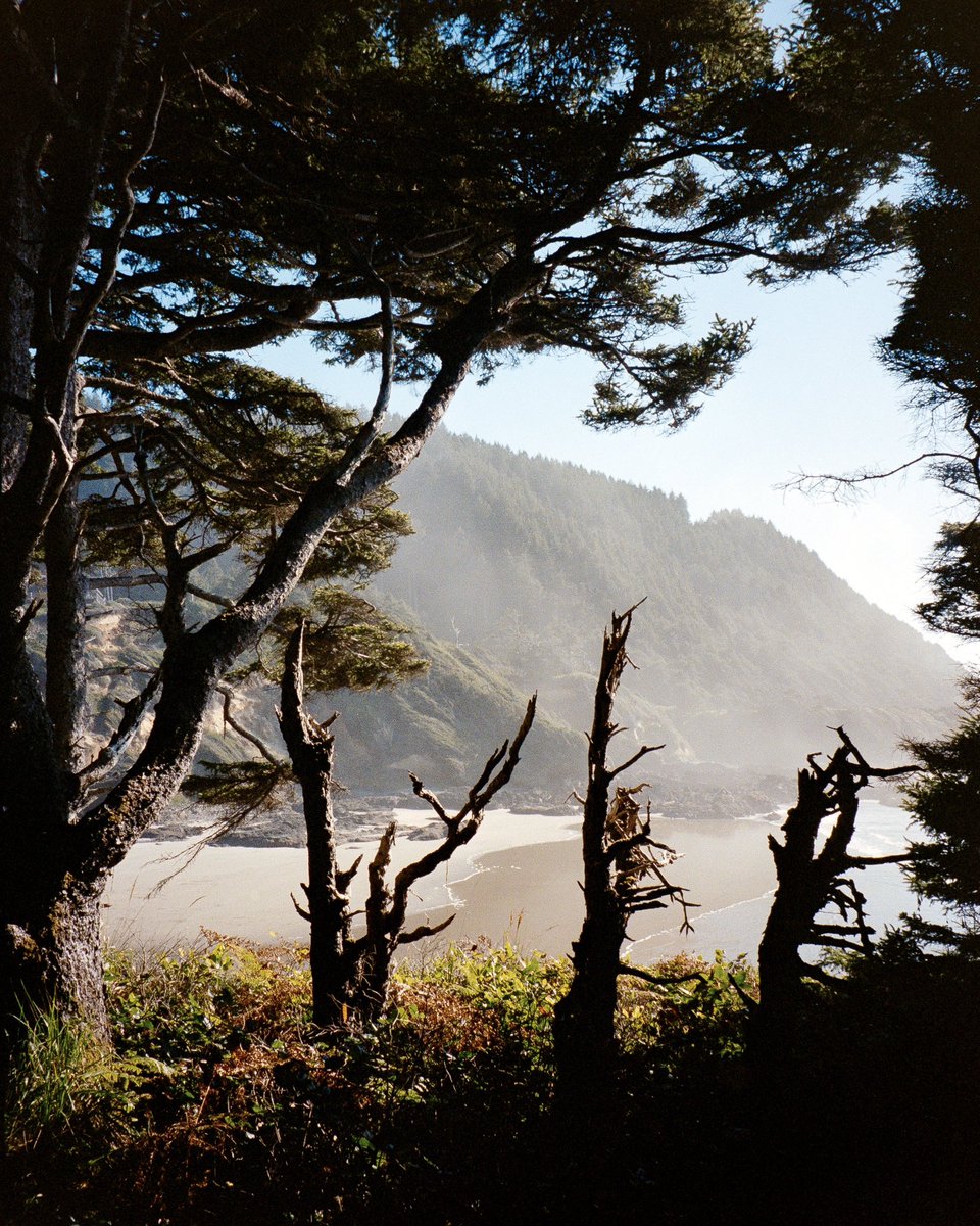 Oregon 🎞️ 

#portra400 #minoltafreedom