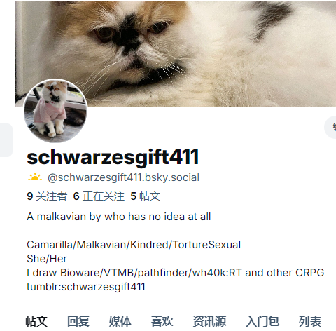 schwarzesGift411 tweet media