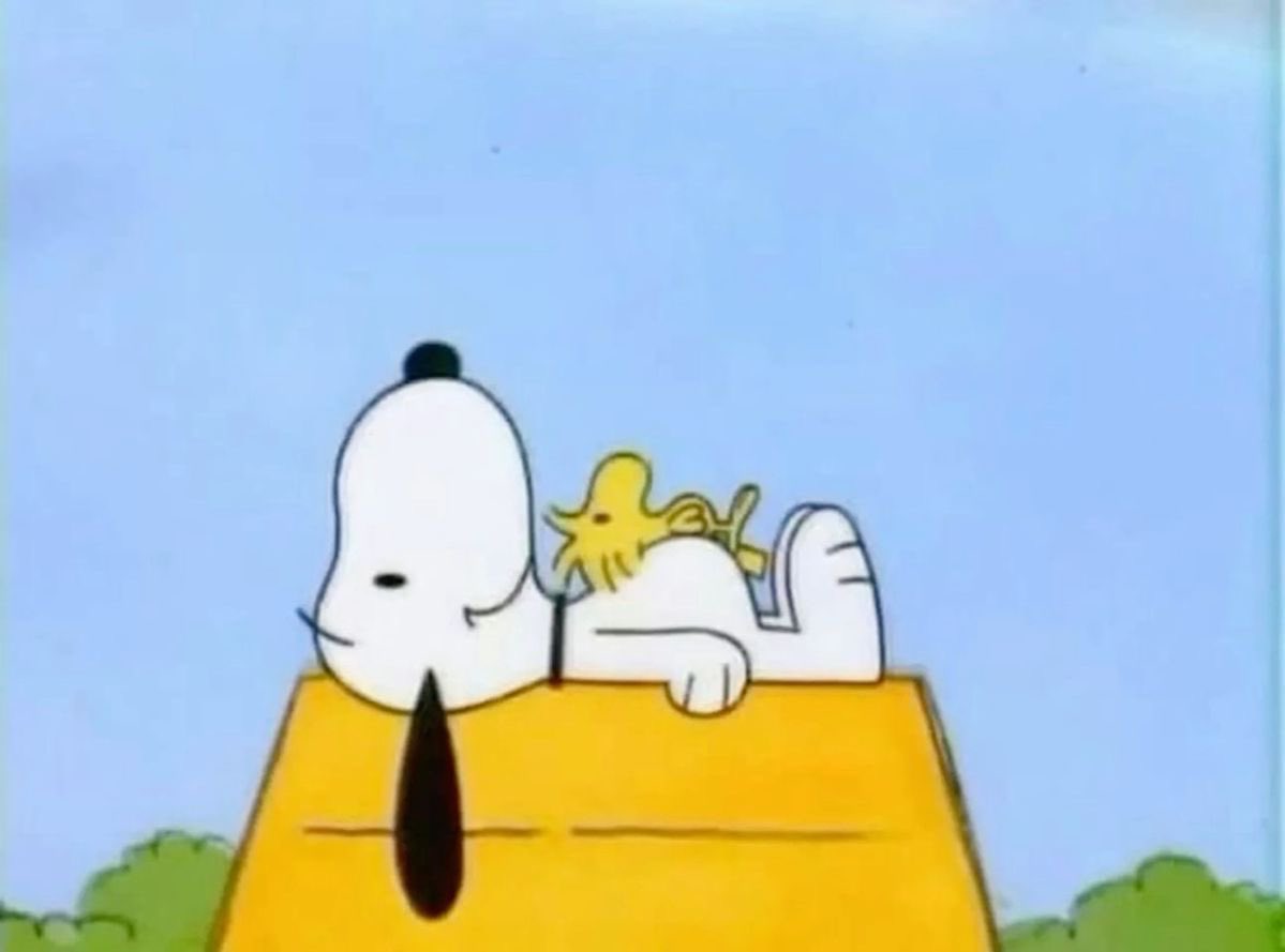 cozysnoopys's tweet image. 