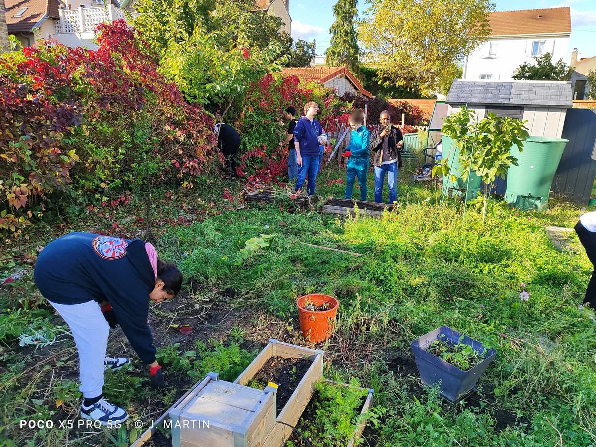 JMartin49350's tweet photo. Le vendredi 11 octobre 2024, les éco-délégué.e.s ont réalisé une ultime récolte dans l’espace biodiversité avant l’arrivée de l’automne.
@edd_versailles 
Article complet sur le site du lycée ⏩ https://t.co/Pq1cwkSzG5 https://t.co/APhvjxjY0S