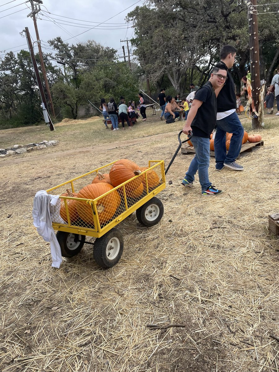 April Watanabe tweet media