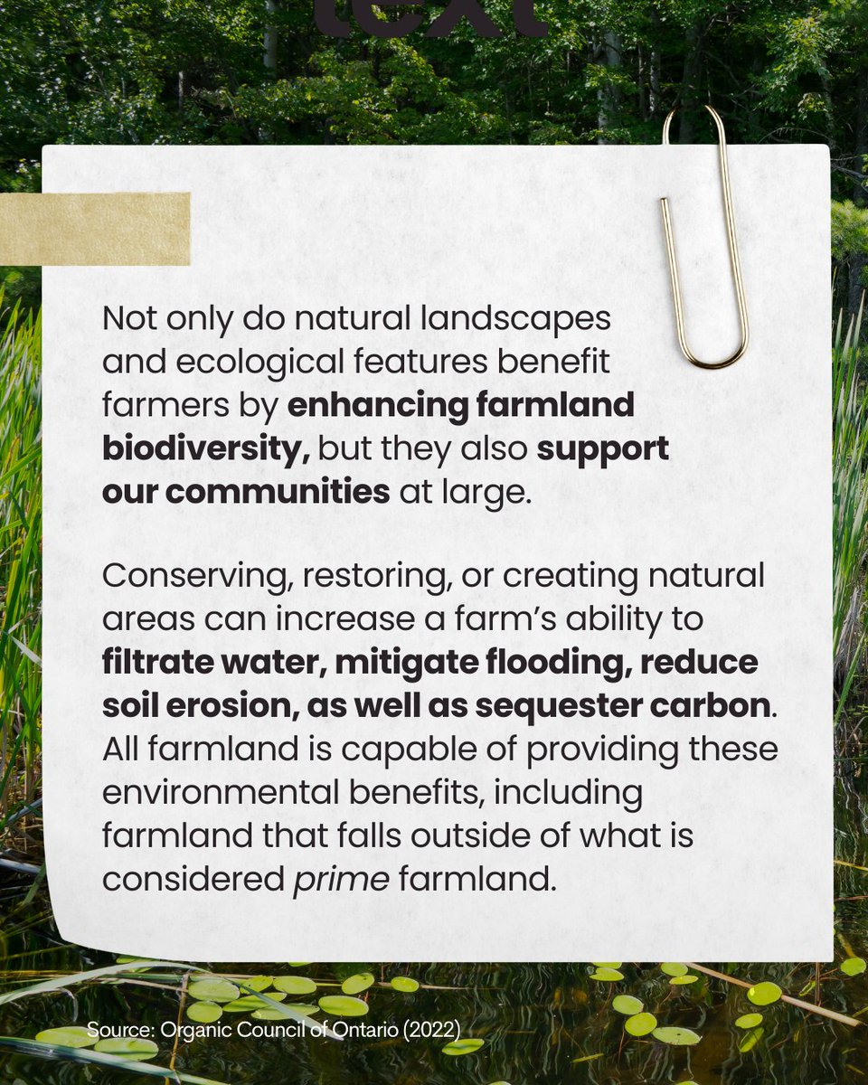 Farmland does more than grow food—it supports ecosystems like wetlands, forests, &amp; grasslands that help wildlife and biodiversity thrive. If you're a farmer or landowner, programs from <a href="/ALUS_Solutions/">ALUS</a> <a href="/Enviro_OSCIA/">OSCIA Environment</a>  can help you restore natural areas &amp; boost biodiversity.

#OntAg