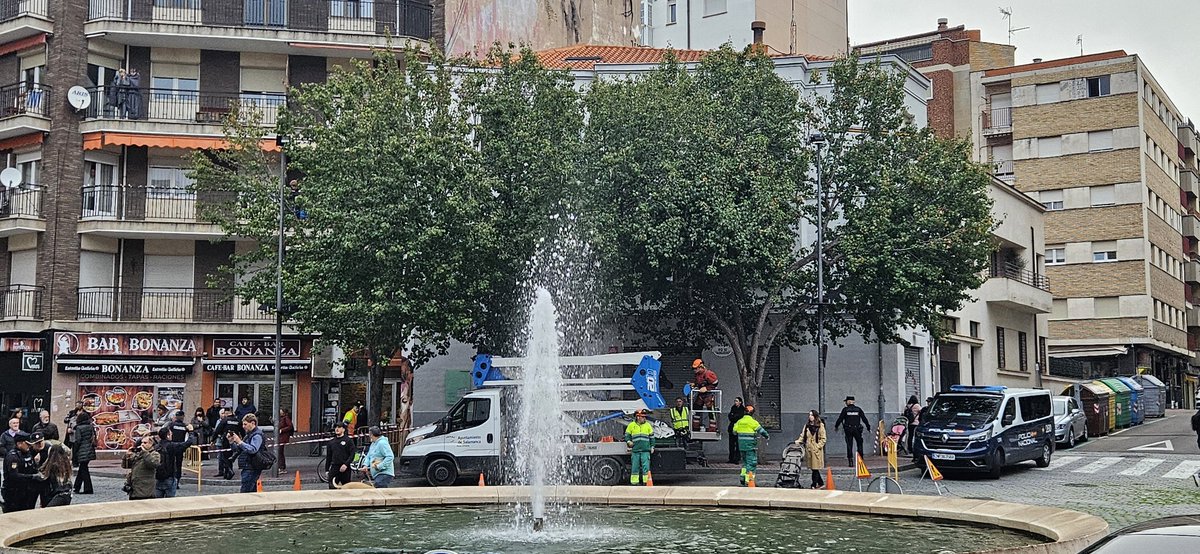 Guardabarross's tweet photo. El Comité de bici Urbana Guardabaros lamenta la tala sin contemplaciones del arbolado de la Plaza del Oeste.  Al cobijo de su sombra hemos compartido muchas conversaciones y estrategias durante los últimos 30 años. Seguiremos luchando por una ciudad del siglo XXI para tod@s. https://t.co/ipIqJEP6C5