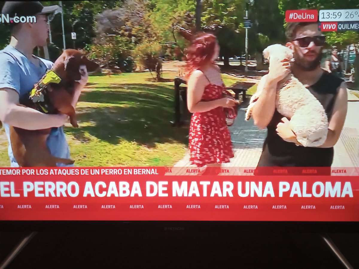 cousdovo's tweet photo. La realidad en el programa de @fernandoborroni que crítica a las militancias desde un sillón en Palermo 🙄🤷🏾‍♂️ https://t.co/lEvSvg9vWB