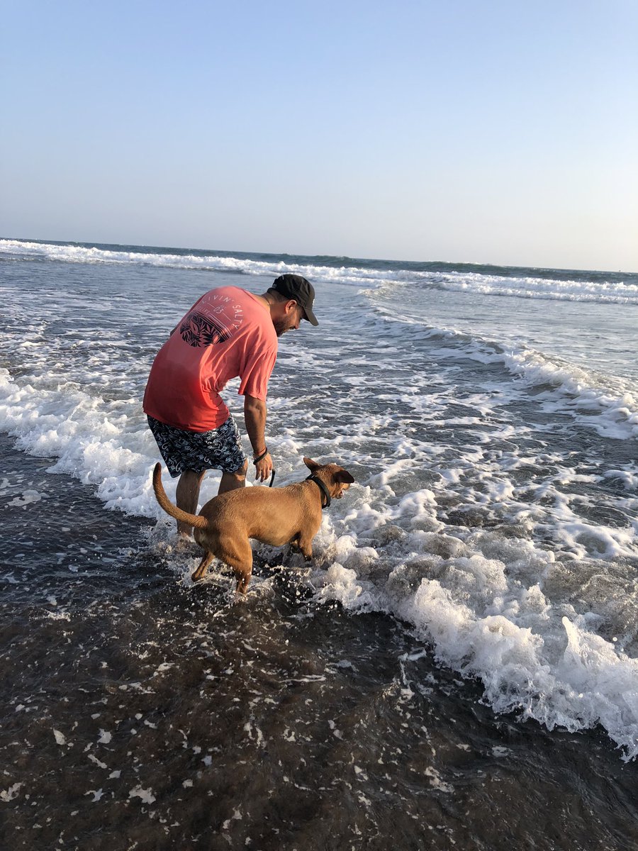 r_floresc's tweet photo. 2 añitos de energía, felicidad y amor infinito 😍 y miles de km de aventuras y aprendizajes 🔥. 

Nuestro Manolito @RebecaSME ♥️

#rundog #running https://t.co/ySvyLCznoe