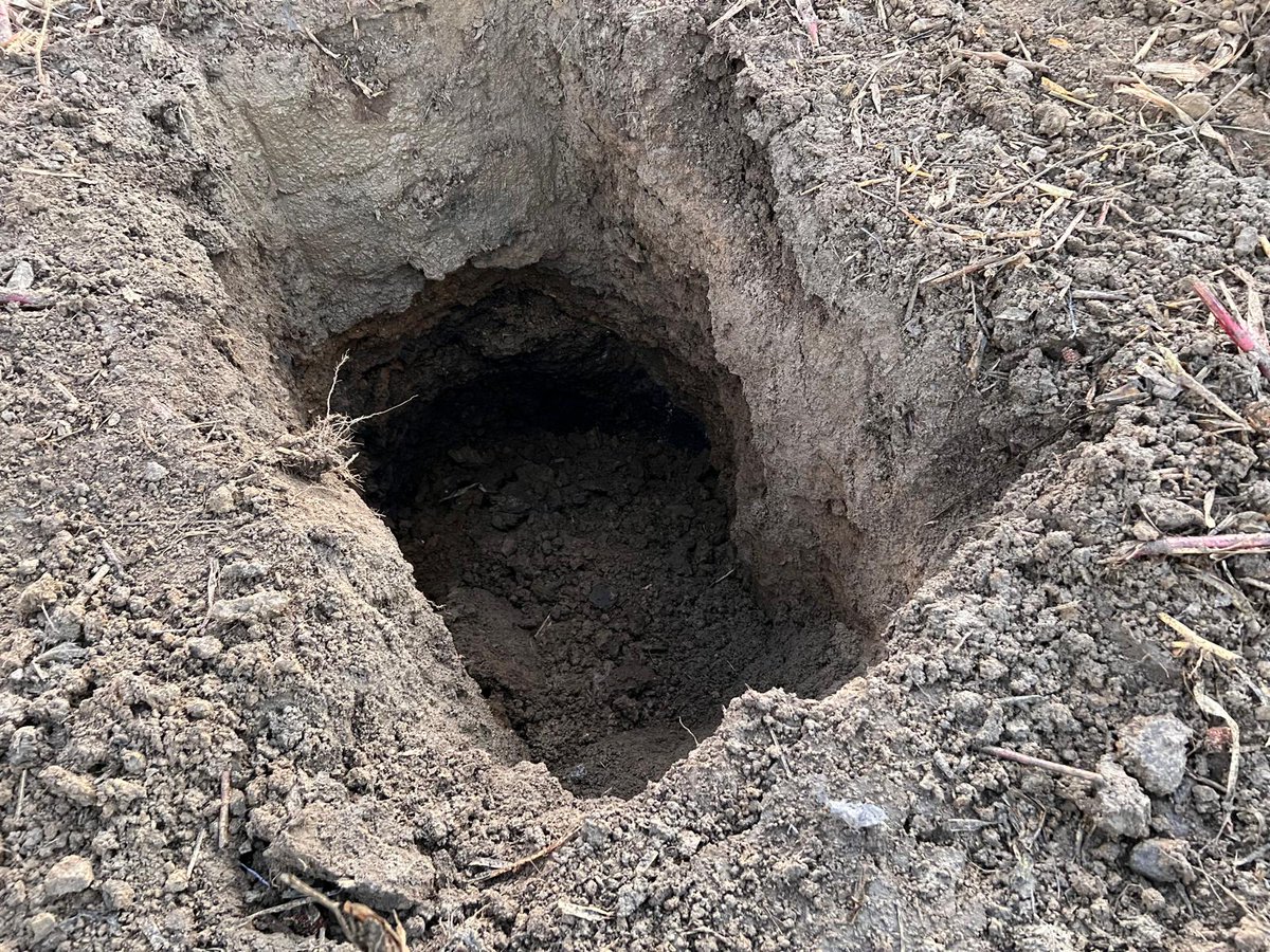 ‼️ Die Sprengung war efolgreich und alle Sperrungen sind aufgehoben. Infos gibt es hier: salzgitter.de/pressemeldunge… <a href="/Polizei_SZ/">Polizei SZ / PE / WF</a> #sz20241022 Bild: Stadt Salzgitter / Kampfmittelräumdienst