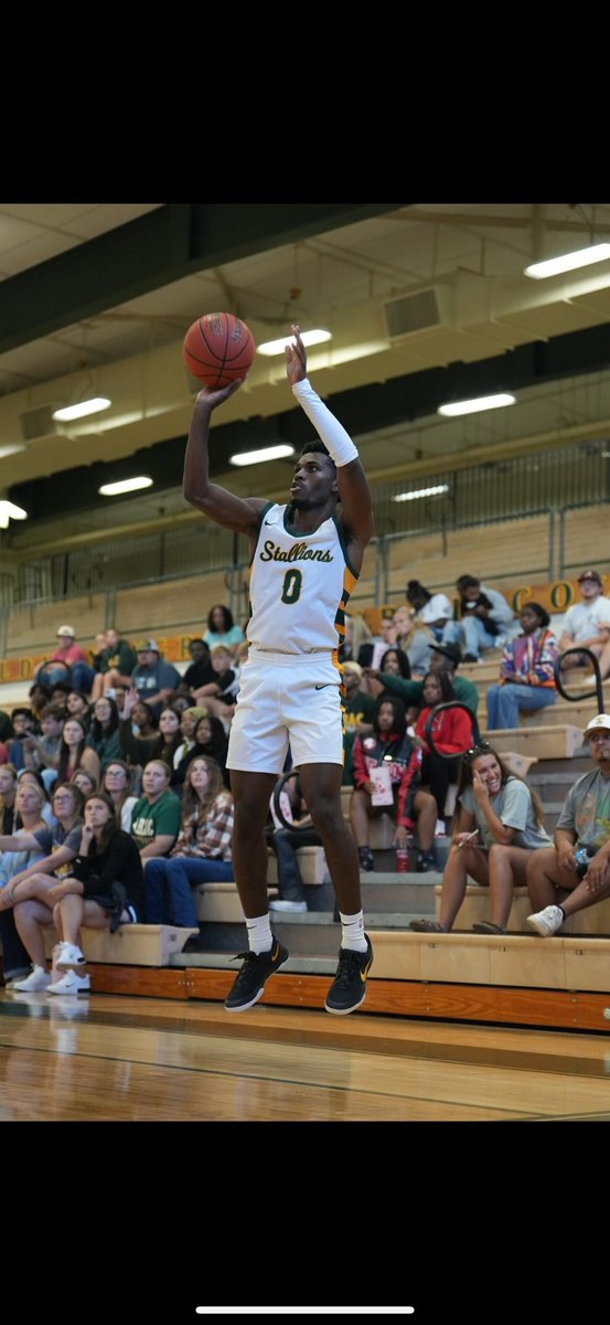 First day out…🐎