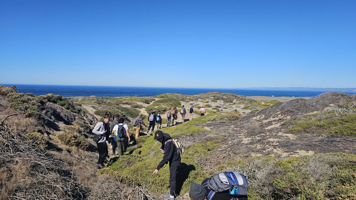 Ben J. Rivera 🏖️🌿 tweet media