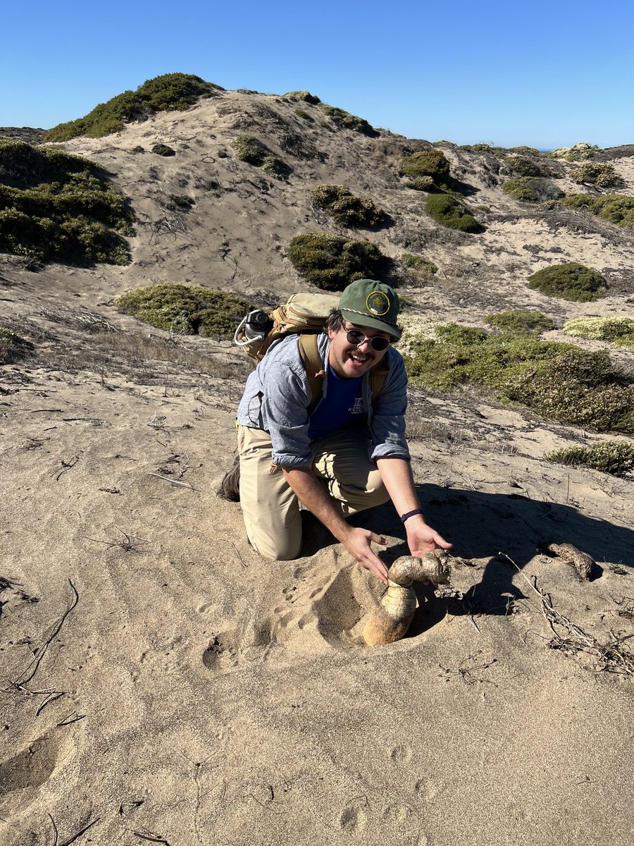 Ben J. Rivera 🏖️🌿 tweet media