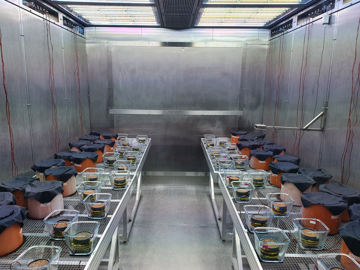 GlobalChangeBio's tweet photo. NEW
Soil carbon and nitrogen cycling at the atmosphere–soil interface: Quantifying the responses of biocrust–soil interactions to global change

📄 https://t.co/jdBUFUutLm @k_witzgall @CarstenWMueller and @tumsoil https://t.co/zU7iaiPPke