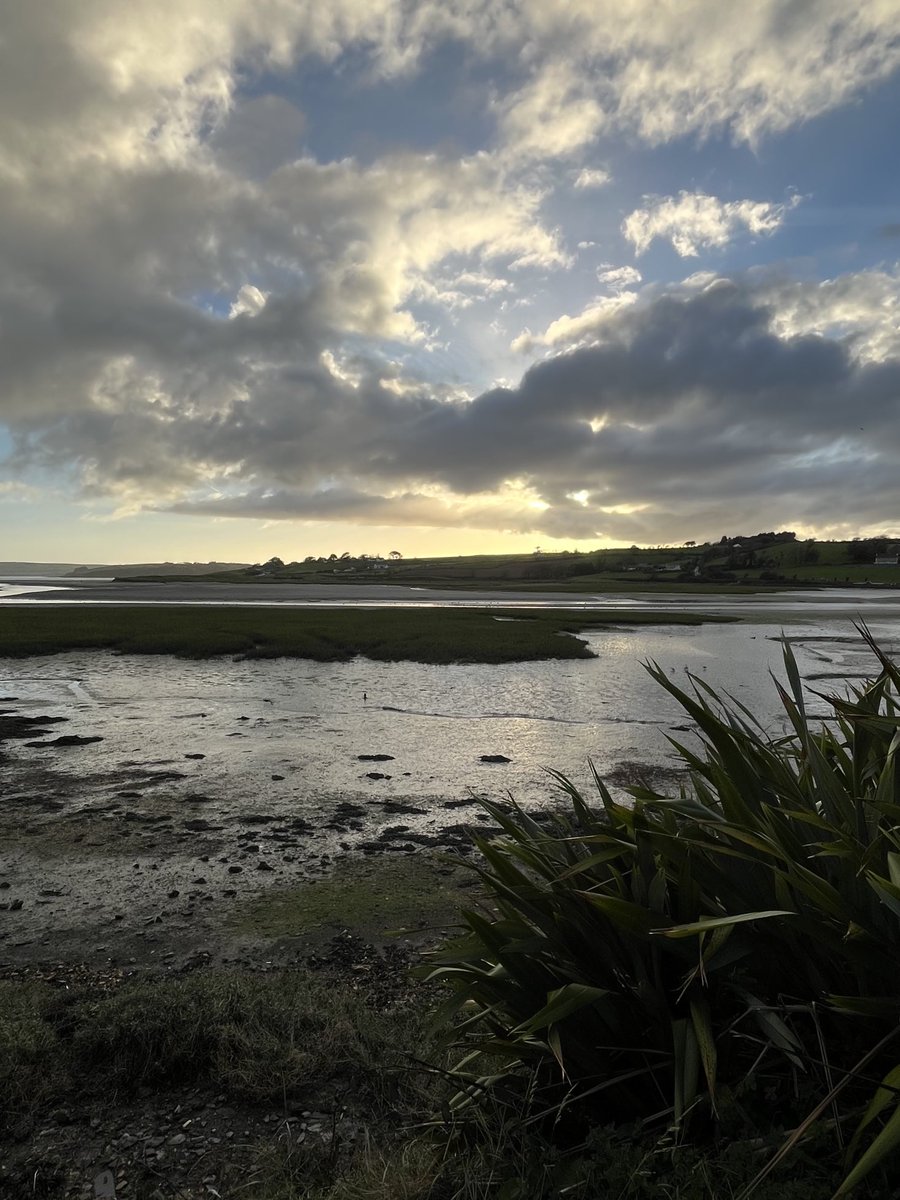 Lots to see … just a little trickier to see it!