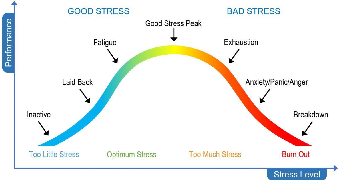 HealthyFaisal's tweet photo. إن لم تجهد جسدك، عقلك سيخلق لك تحديات عقليّة تسبب إجهاد داخليّ. التوتّر بمعدّل طبيعي يعتبر استجابة صحّيّة ولكن إن أجهدك نفسيًّا، يبدو أن خلق التوتّر الجسديّ (eustress) حلًّا لأنه يقلّل من وجود القلق الداخليّ (distress).

[جهد جسديّ عالي vs جهد نفسيّ عالي]
حارب الآخر بالأول. https://t.co/ZdGIoetJs3