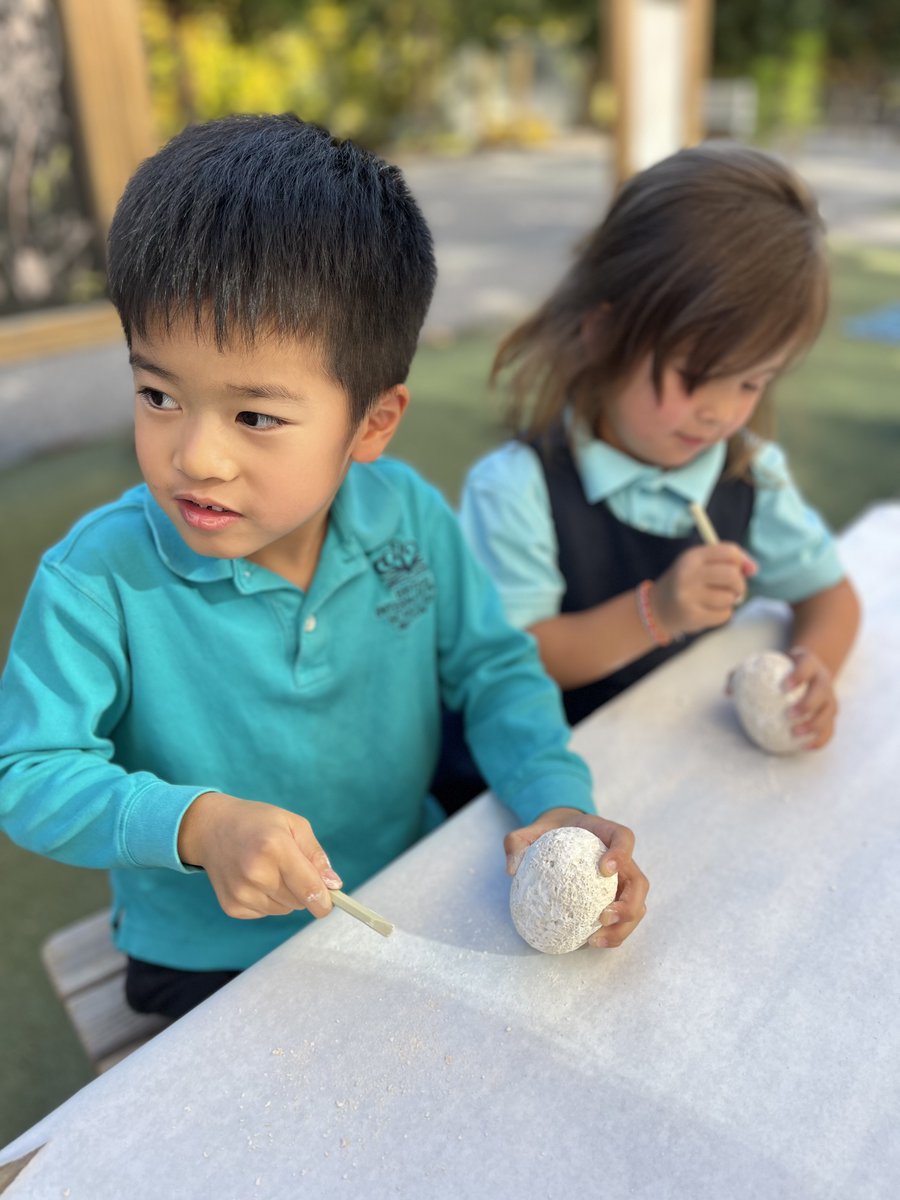 BISB_School's tweet image. #BISB Reception (pre-school) started their new IEYC (International Early Years Curriculum) topic of Dinosaur Detectives. They had fun finding eggs inside a dinosaur cave and digging into the eggs to discover what dinosaur they had inside!