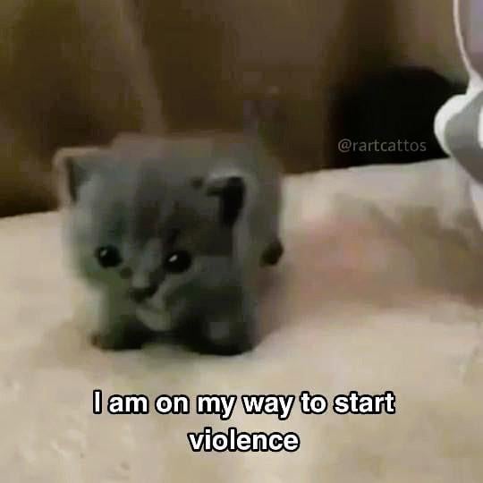 Sacha🌻 tweet media