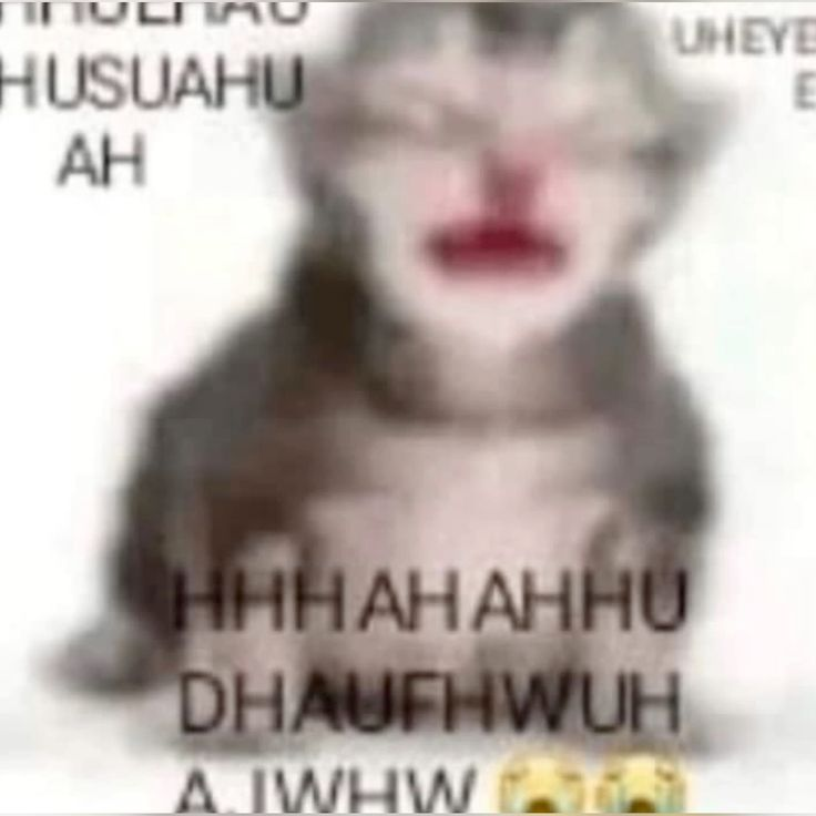 Danilooolop's tweet image. tengo un parcial en unas horas pronto todo acabara