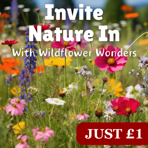 Wildflowers encourage biodiversity, provide pollen and nectar - which is important for food pollination - and make a pretty and colourful addition to the garden, too!

Stock up and save on wildflower seeds right now in our £1 seed sale 🏷️
mr-fothergills.co.uk/collections/wi…
