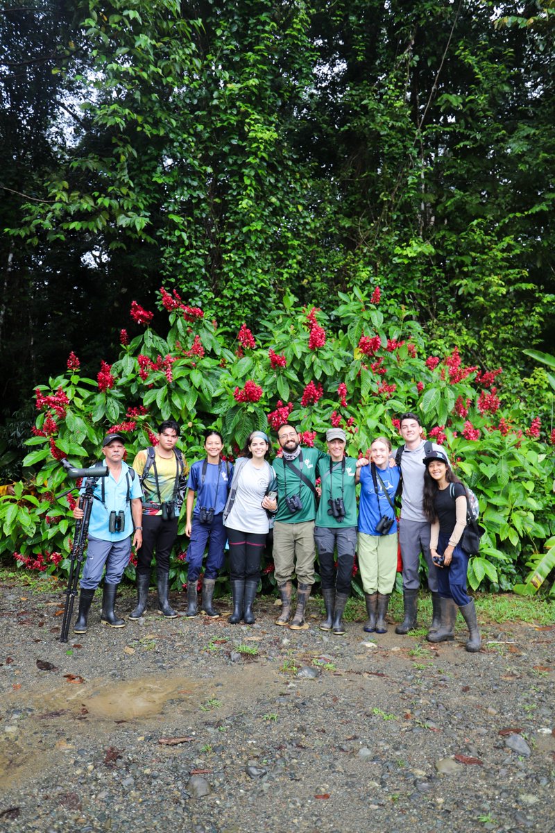 Osa Conservation tweet media