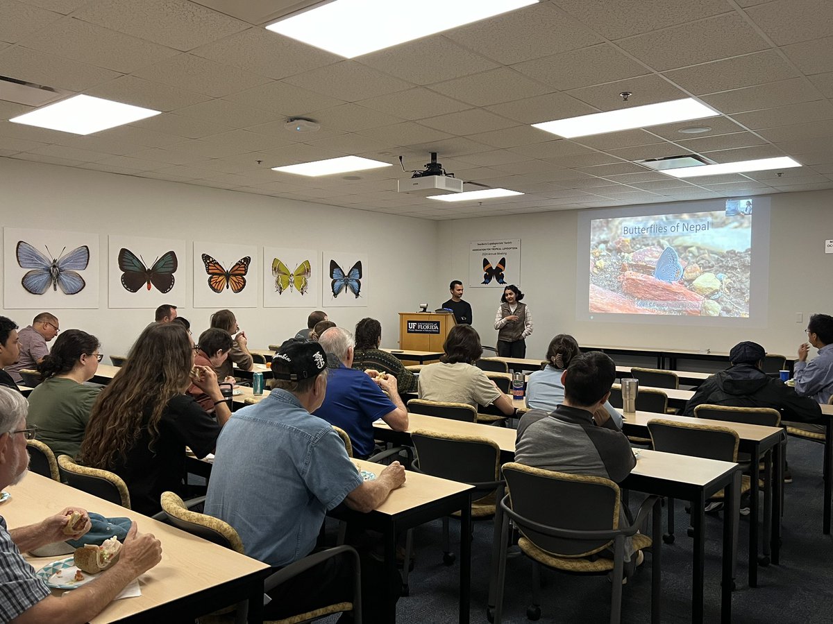 Nice talk <a href="/Anishasapkota3/">Anisha Sapkota</a> <a href="/sajanwithbugs/">Sajan KC</a> #butterfliesofnepal #butterflyexplorers