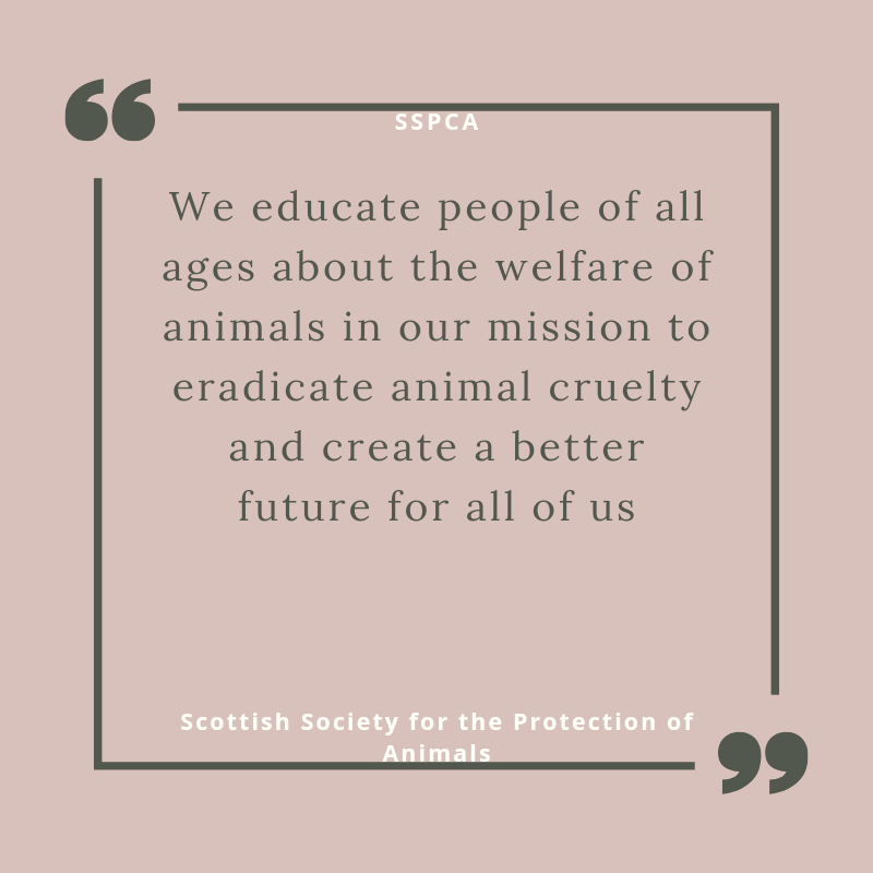 Fiona Gray 💜 tweet media