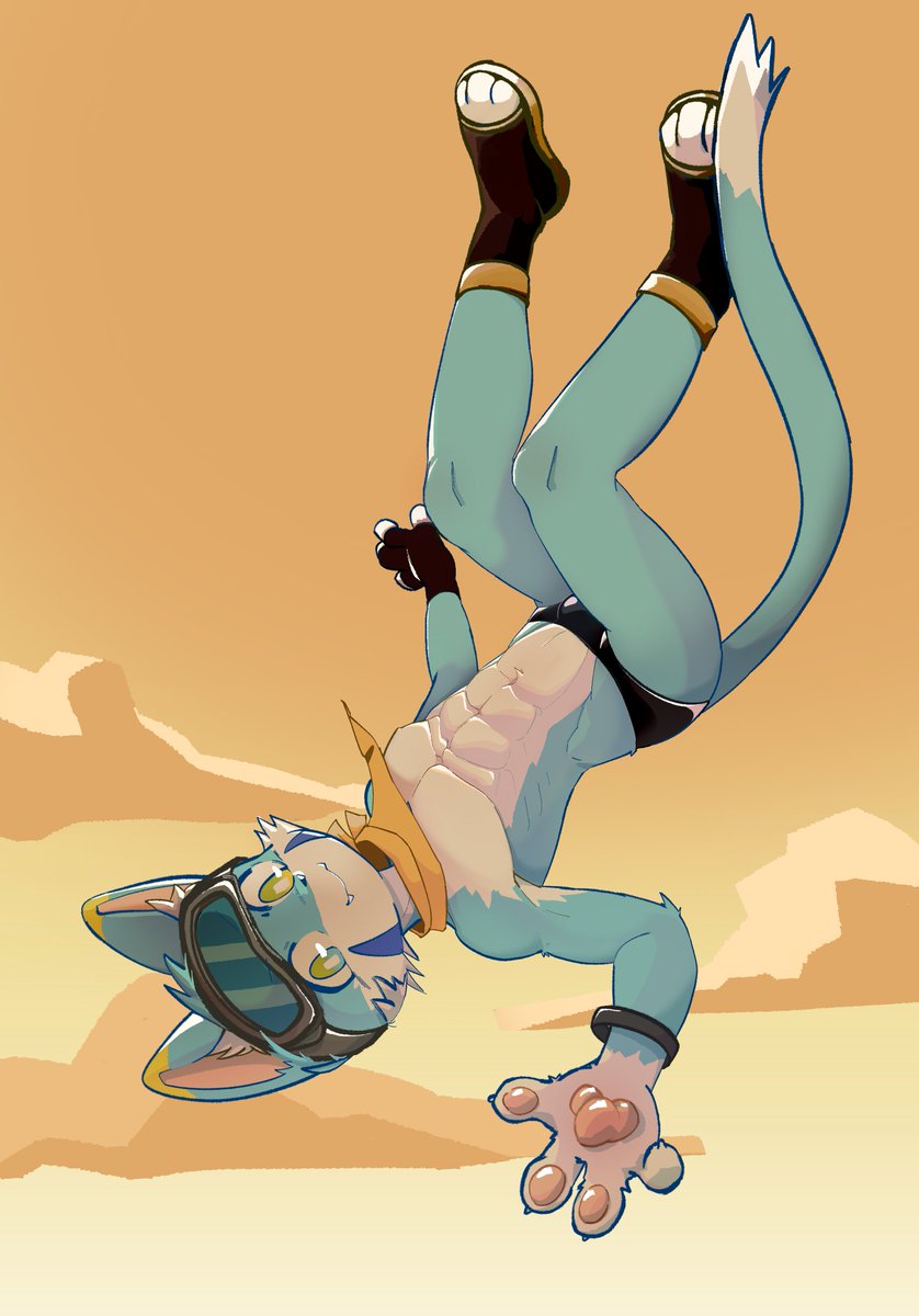 茶狸子 tweet media