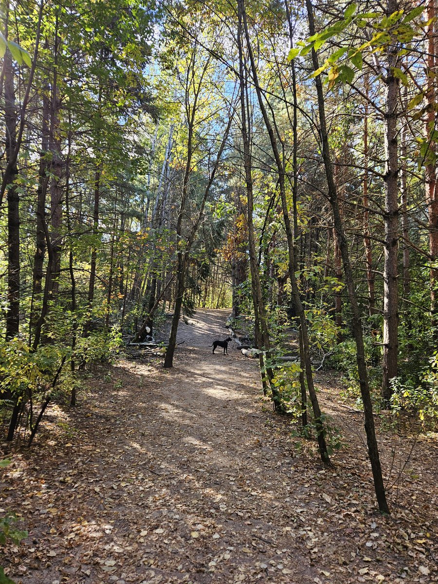 bramble ramble tweet media