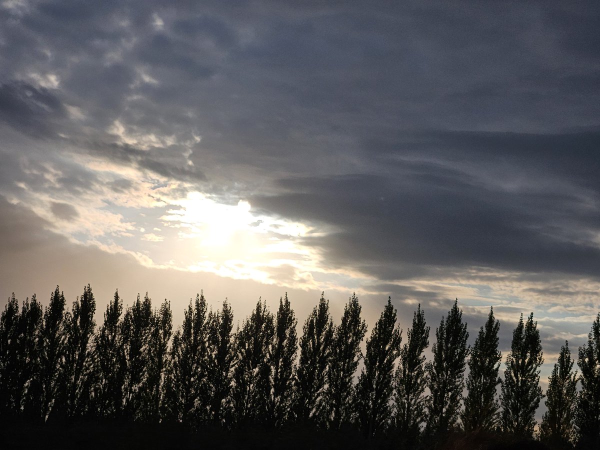 bramble ramble tweet media