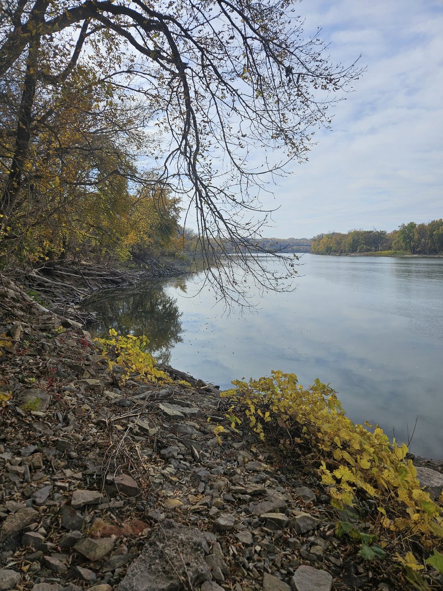 bramble ramble tweet media