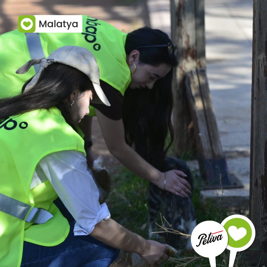 1-13 Ekim tarihlerinde 34 şehirde eş zamanlı gerçekleştirdiğimiz etkinlikte 2955 kg köpek maması 2595 kg kedi maması dağıttık. 💚