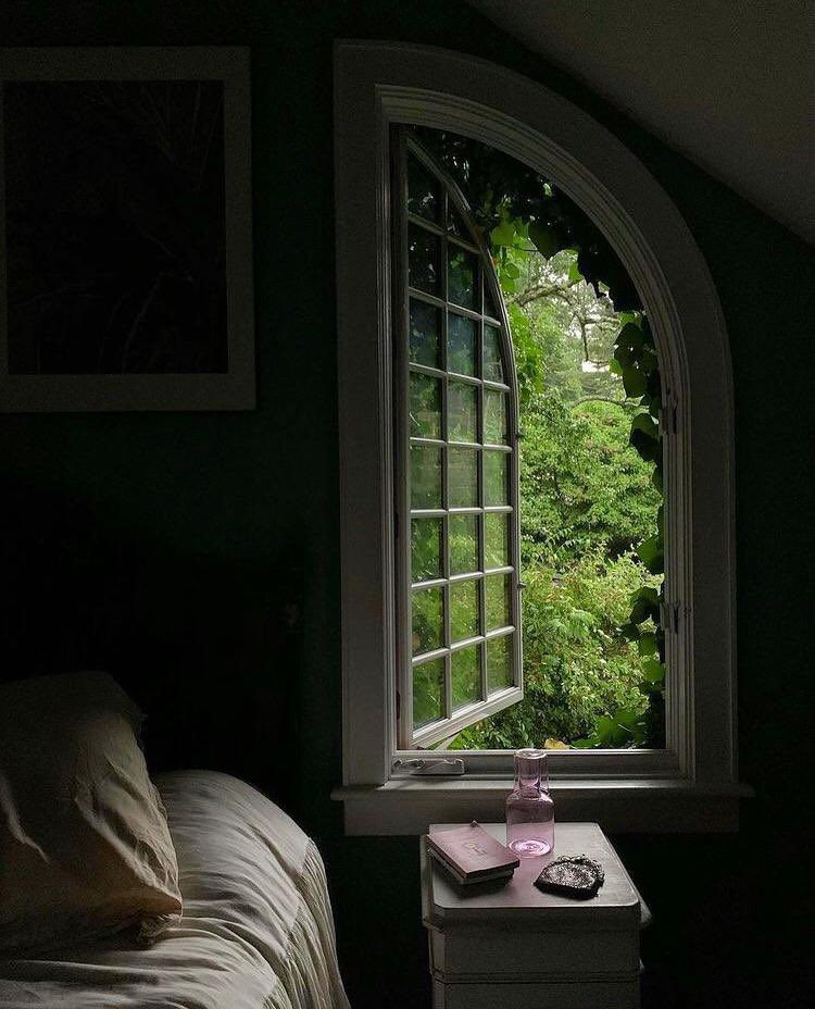 اخضِرار 🍃 (@picgreen) on Twitter photo 