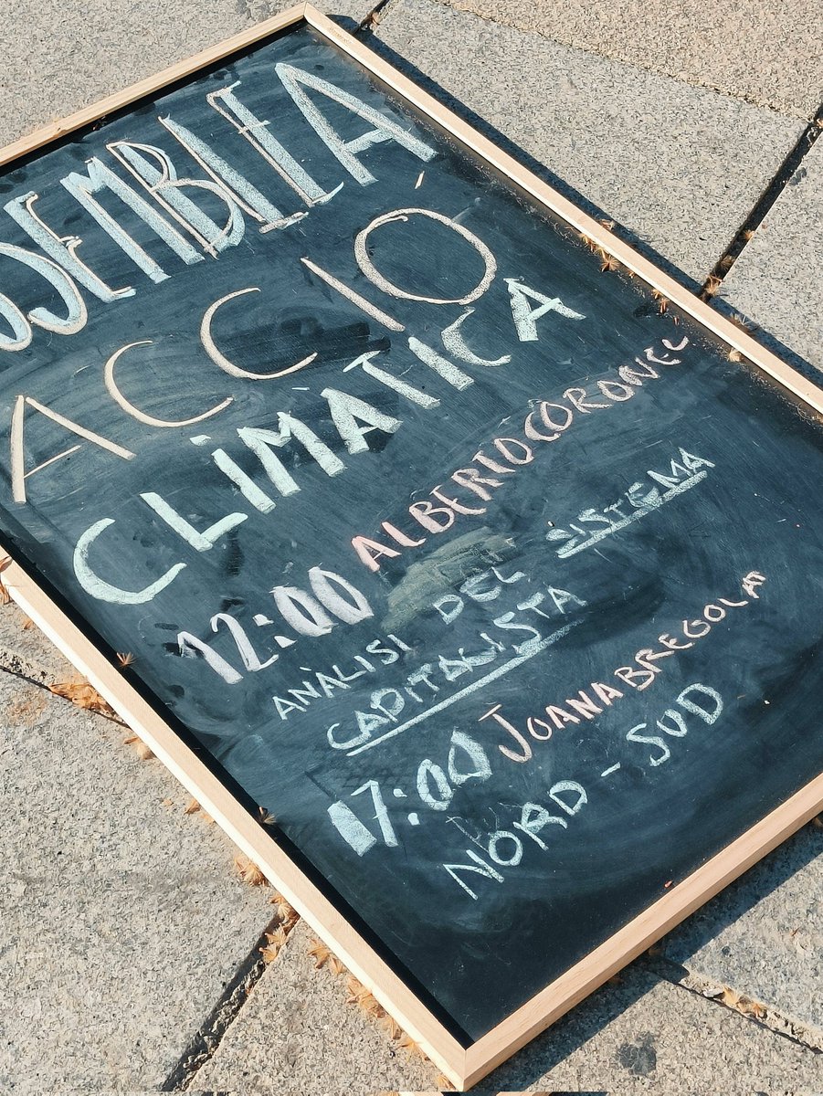 JoanaBregolat. tweet media