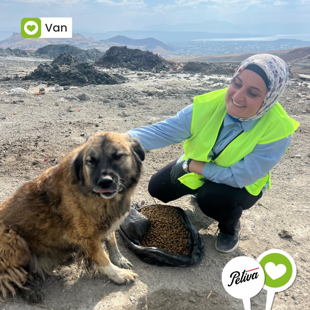 Sokak hayvanlarının beslenmelerine destek olan Petiva'ya ve tüm Ahbaplara teşekkür ederiz. 💚
