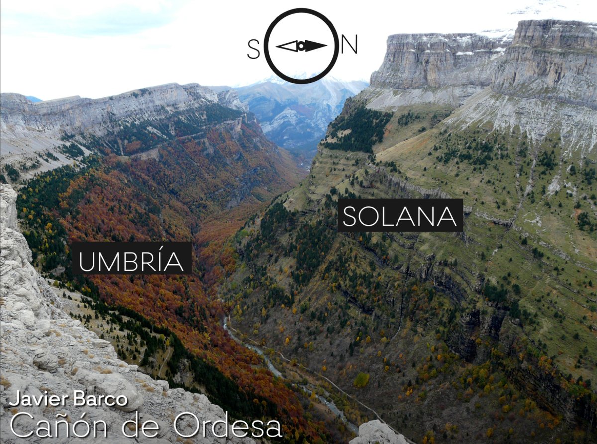 Magnífica #foto del valle glaciar de #Ordesa de vertientes escarpadas y  bien diferenciadas por su orientación (insolación) en cuanto a la  vegetación que ahora en #otoño distinguimos muy bien. Hayedos en #umbría