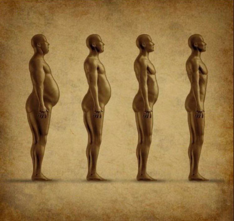 Wealth_Pill's tweet image. 10 Best ways to lose belly fat in 60 days 

(Backed by science)