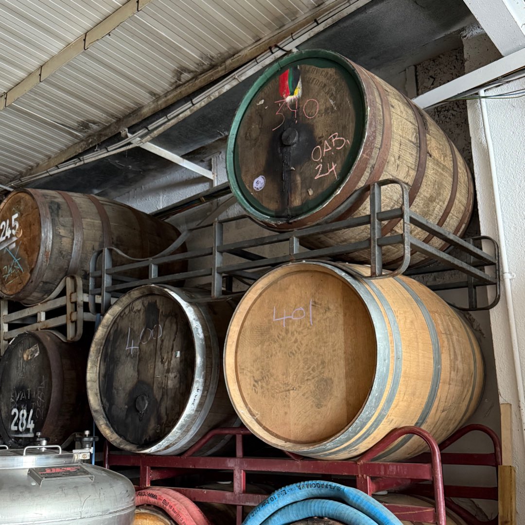 @decoreape7 <a href="/DOT_Brew/">DOT brew</a> <a href="/PaulOBrien10/">Paul O'Brien</a> <a href="/CorkBeer/">CorkBeerTweets</a> <a href="/cb_phil/">Phil</a> <a href="/j_k357/">keith ⭐️⭐️💙</a> <a href="/RealBMaxwell/">Brian Maxwell 🍻😎</a> <a href="/BrianVolkert/">BV</a> <a href="/Imagicranium/">Paul Brown</a> <a href="/mjpm67/">MM🇮🇪</a> OAB ‘24